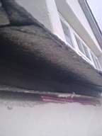 wierhouse 3700.jpg